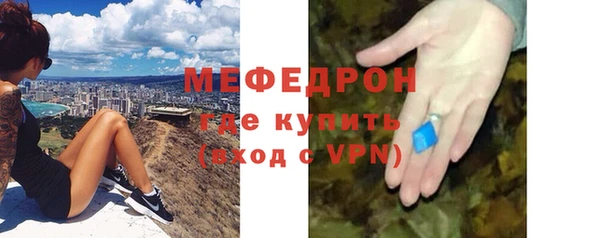 стаф Гатчина