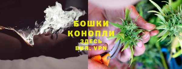 стаф Гатчина