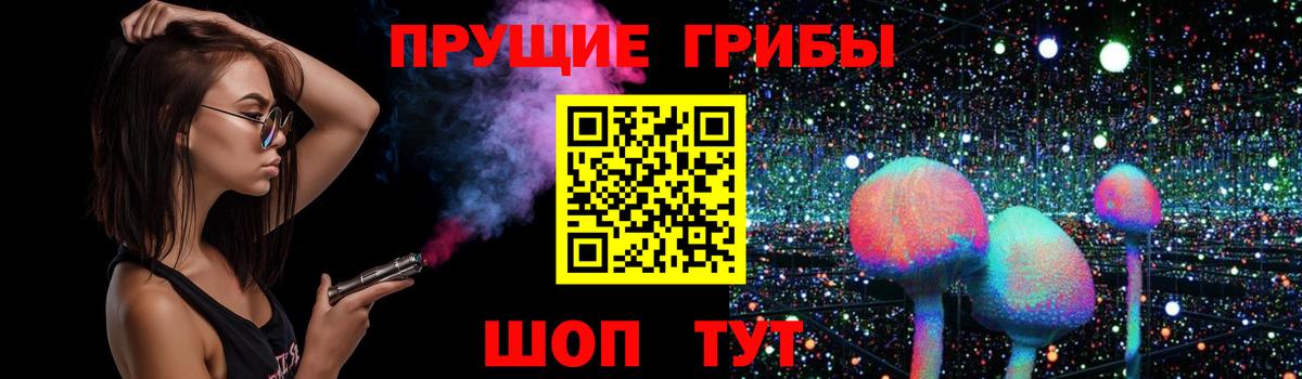 Галлюциногенные грибы MAGIC MUSHROOMS  Вход с VPN  Кольчугино 